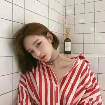 嘘，国王在冬眠